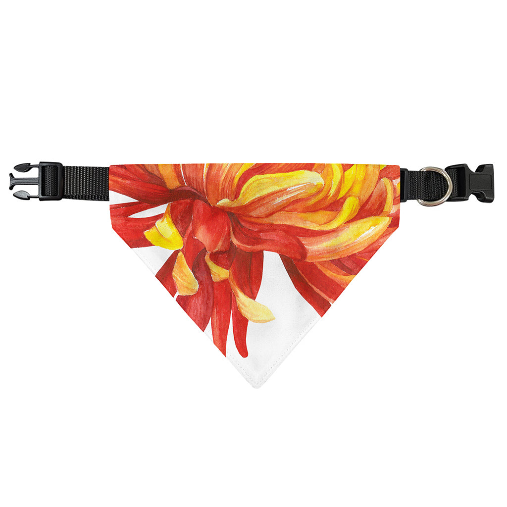 Watercolor Chrysanthemum Print Over The Collar Dog Bandana
