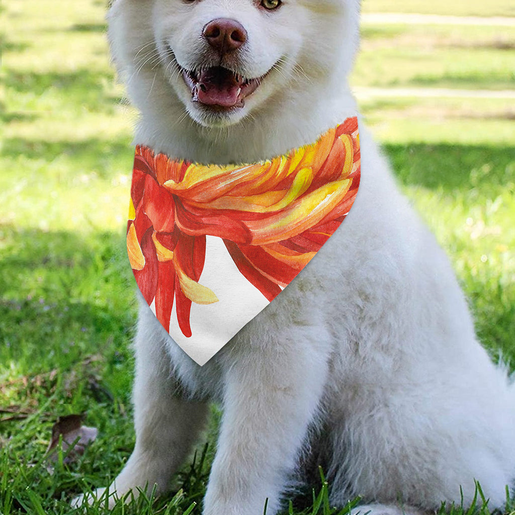 Watercolor Chrysanthemum Print Over The Collar Dog Bandana