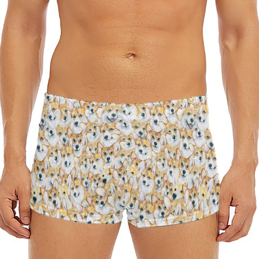 Watercolor Corgi Pattern Print Men's Short Boxer Briefs