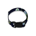 Watercolor Daisy Floral Pattern Print Dog Collar