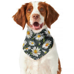 Watercolor Daisy Flower Pattern Print Dog Bandana