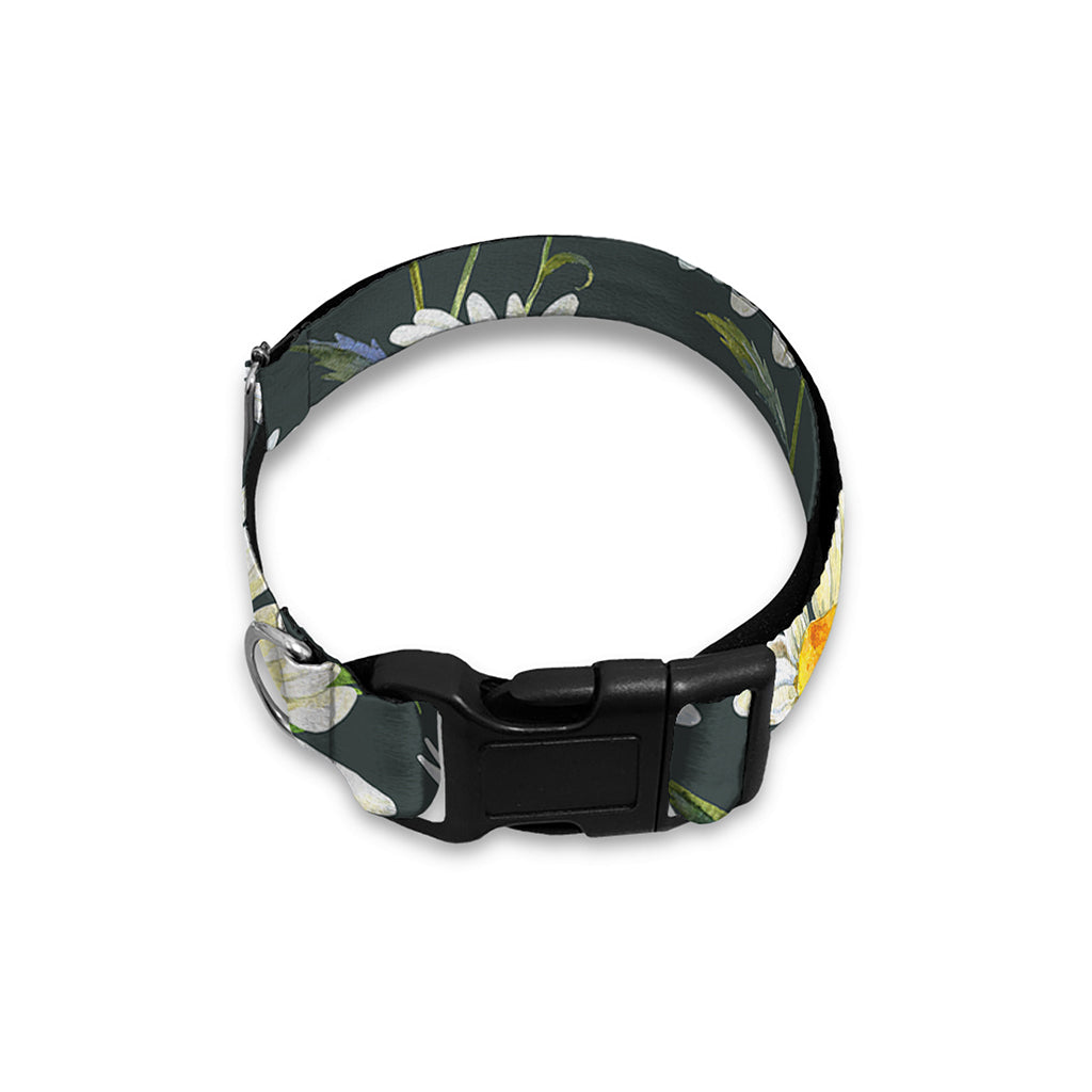 Watercolor Daisy Flower Pattern Print Dog Collar