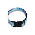 Watercolor Dolphin In The Sea Print Dog Collar