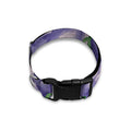 Watercolor Eggplant Print Dog Collar