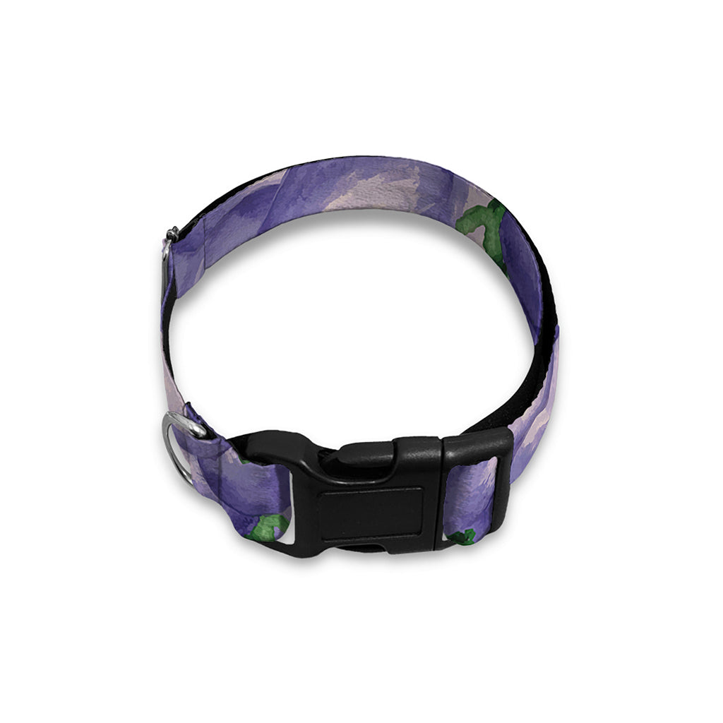 Watercolor Eggplant Print Dog Collar