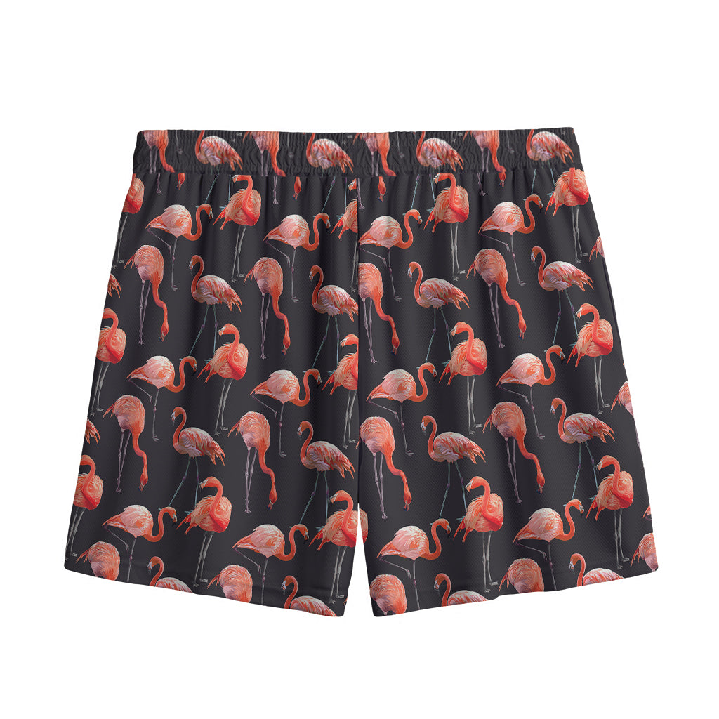 Watercolor Flamingo Pattern Print Mesh Shorts