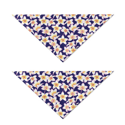 Watercolor Frangipani Flower Print Dog Bandana