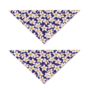 Watercolor Frangipani Flower Print Dog Bandana