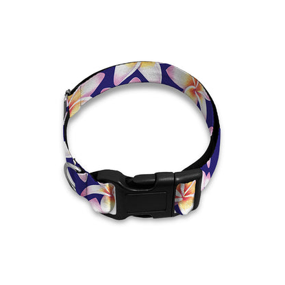 Watercolor Frangipani Flower Print Dog Collar