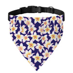Watercolor Frangipani Flower Print Over The Collar Dog Bandana
