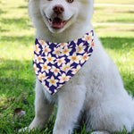 Watercolor Frangipani Flower Print Over The Collar Dog Bandana