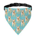 Watercolor French Bulldog Puppy Print Over The Collar Dog Bandana