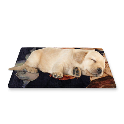 Watercolor Gemini Zodiac Sign Print Pet Cooling Mat Cover