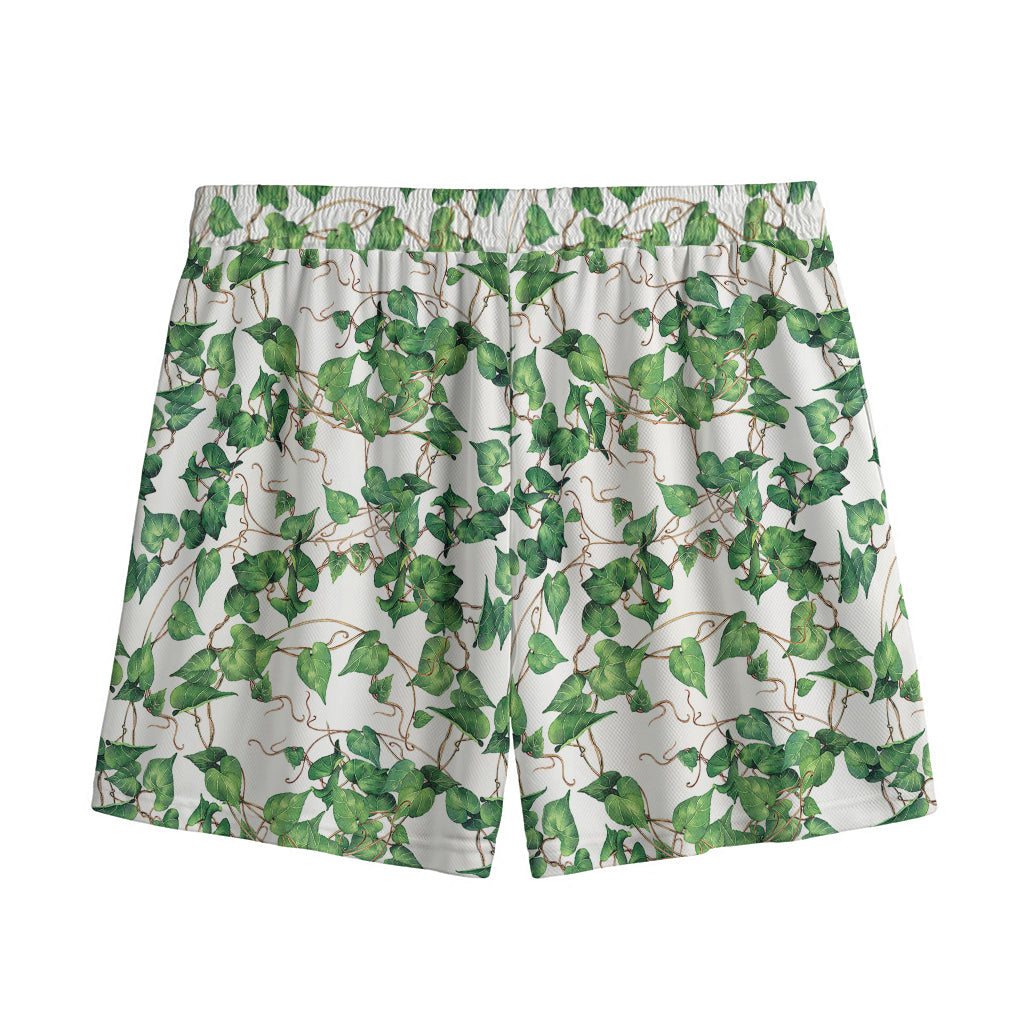 Watercolor Ivy Leaf Pattern Print Mesh Shorts
