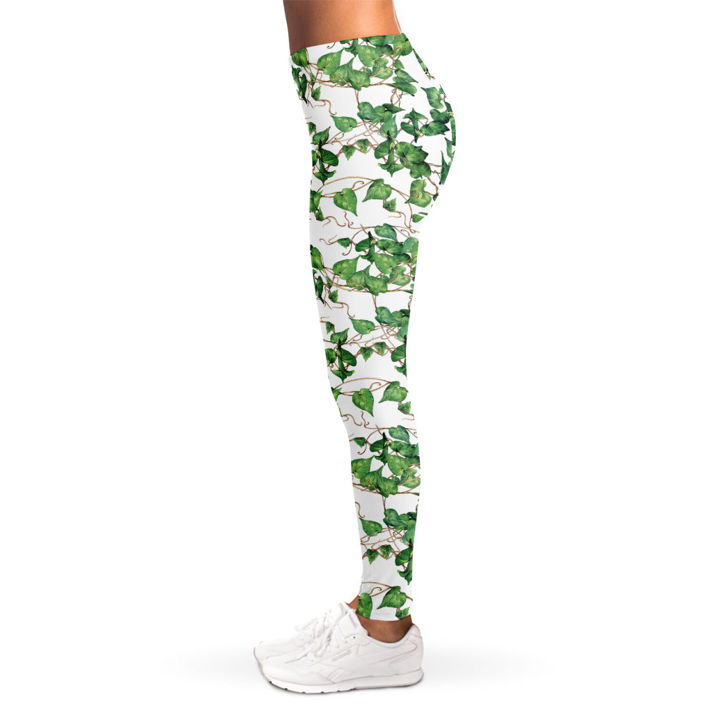 Watercolor Ivy Leaf Pattern Print Women's Leggings