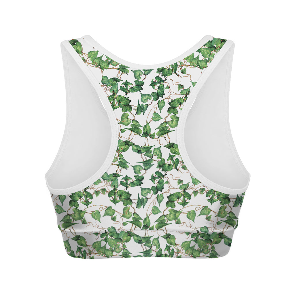 Watercolor Ivy Leaf Pattern Print Women's Sports Bra