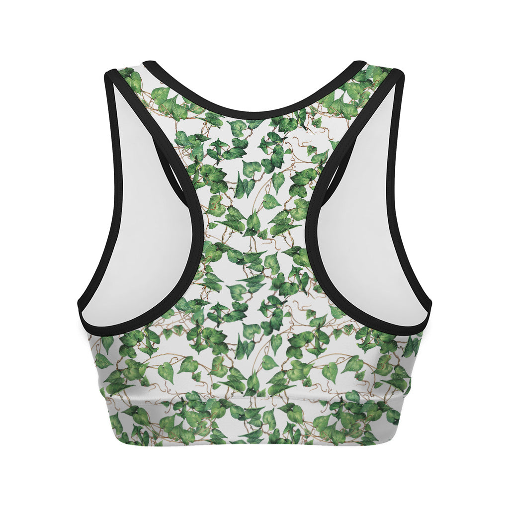 Watercolor Ivy Leaf Pattern Print Women's Sports Bra