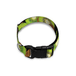 Watercolor Kiwi Pattern Print Dog Collar