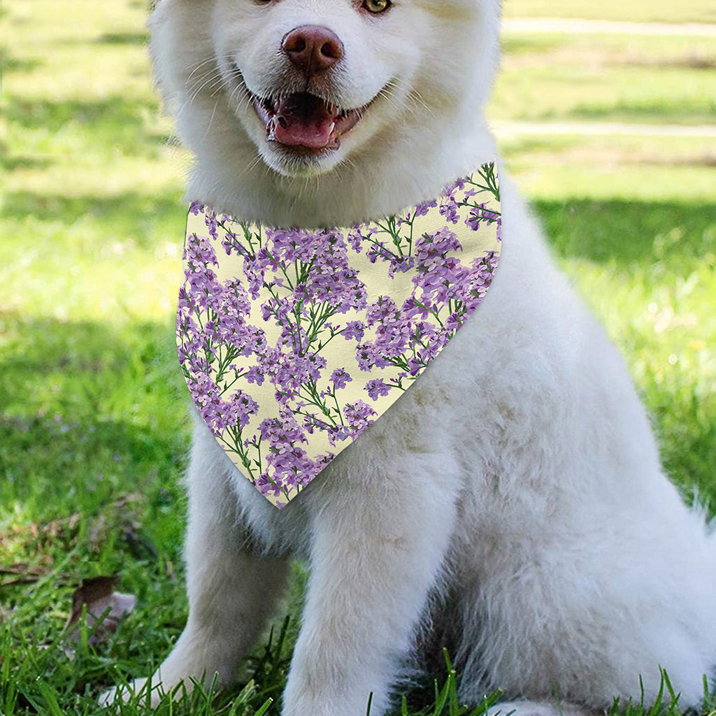 Watercolor Lavender Pattern Print Over The Collar Dog Bandana