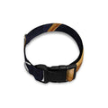 Watercolor Leo Zodiac Sign Print Dog Collar