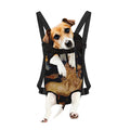 Watercolor Leo Zodiac Sign Print Pet Carrier Backpack