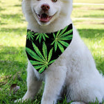 Watercolor Marijuana Leaf Pattern Print Over The Collar Dog Bandana