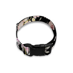Watercolor Orchid Flower Pattern Print Dog Collar