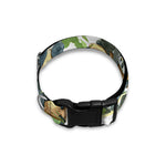 Watercolor Panda Bear Pattern Print Dog Collar