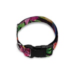 Watercolor Parrot Pattern Print Dog Collar