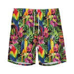 Watercolor Parrot Pattern Print Men's Sports Shorts