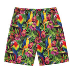 Watercolor Parrot Pattern Print Men's Swim Trunks