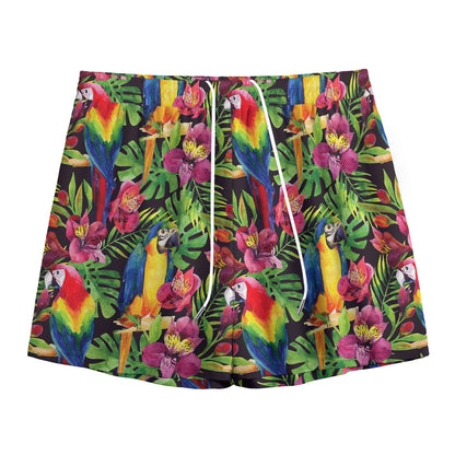 Watercolor Parrot Pattern Print Mesh Shorts