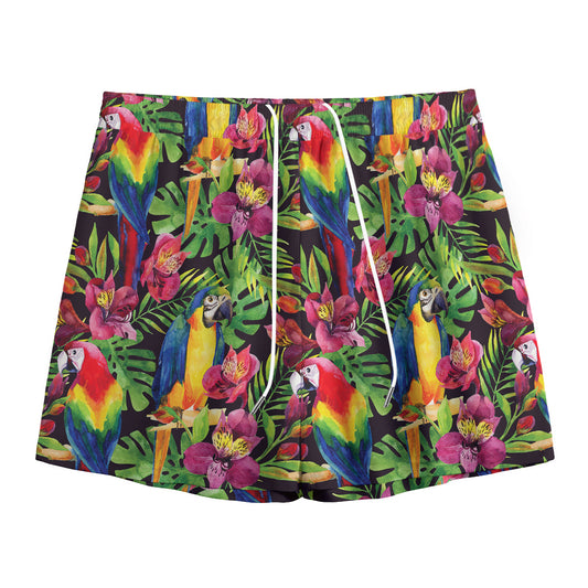 Watercolor Parrot Pattern Print Mesh Shorts