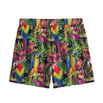 Watercolor Parrot Pattern Print Mesh Shorts