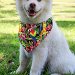 Watercolor Parrot Pattern Print Over The Collar Dog Bandana