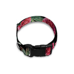 Watercolor Peony Pattern Print Dog Collar