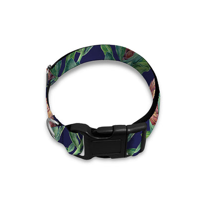 Watercolor Protea Pattern Print Dog Collar