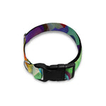 Watercolor Psychedelic Print Dog Collar