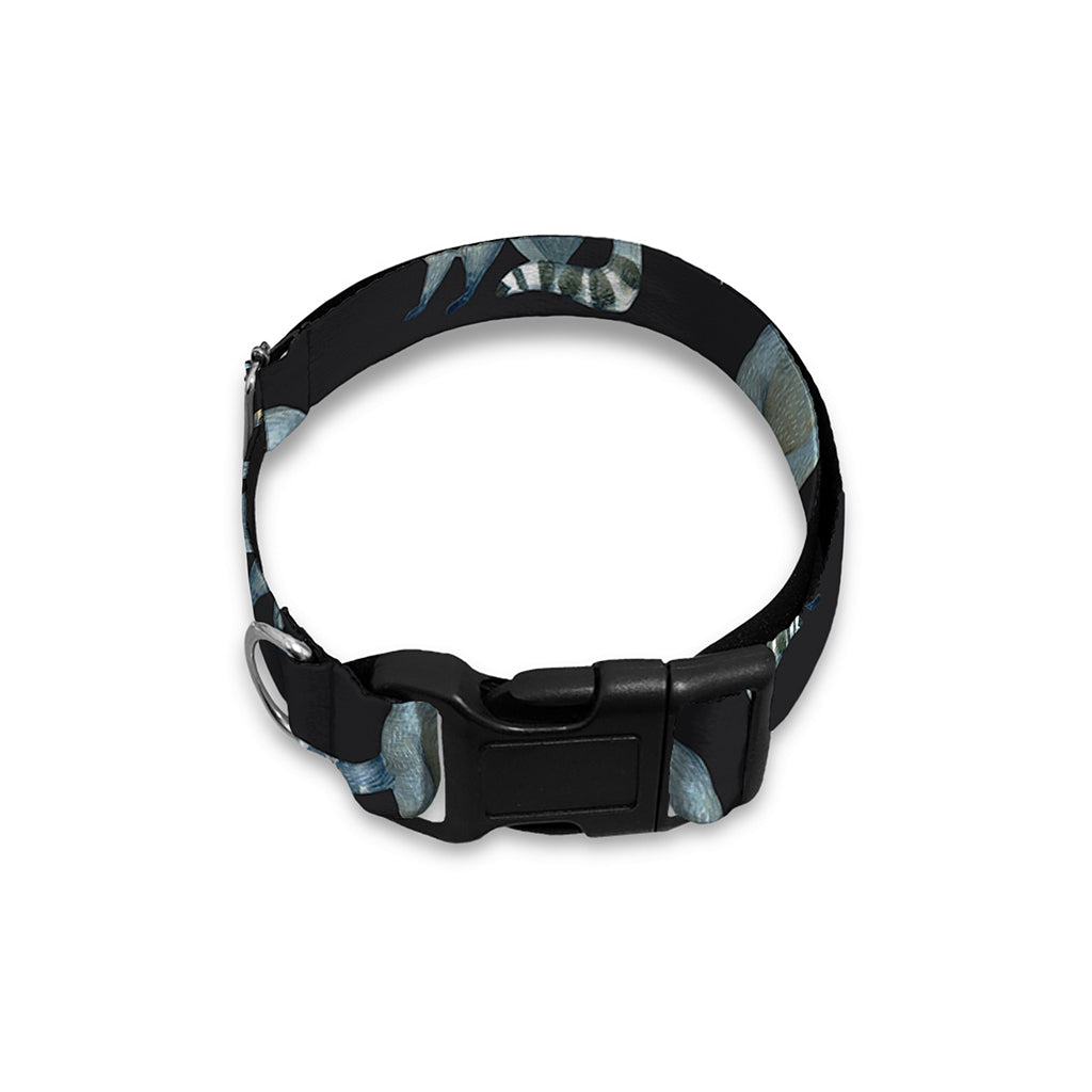 Watercolor Raccoon Pattern Print Dog Collar