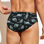 Watercolor Raccoon Pattern Print Men's Swim Briefs