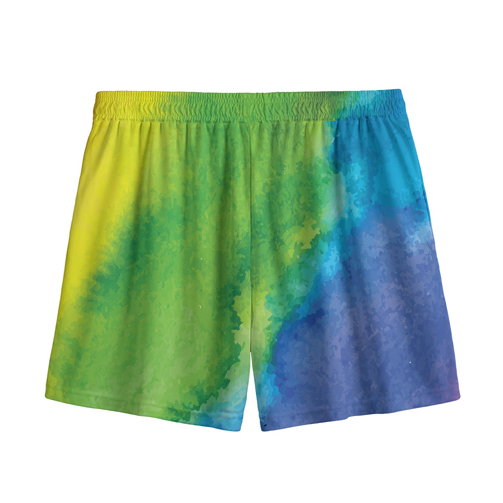 Watercolor Rainbow LGBT Pride Print Mesh Shorts