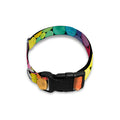 Watercolor Rainbow Pattern Print Dog Collar