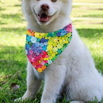 Watercolor Rainbow Pattern Print Over The Collar Dog Bandana
