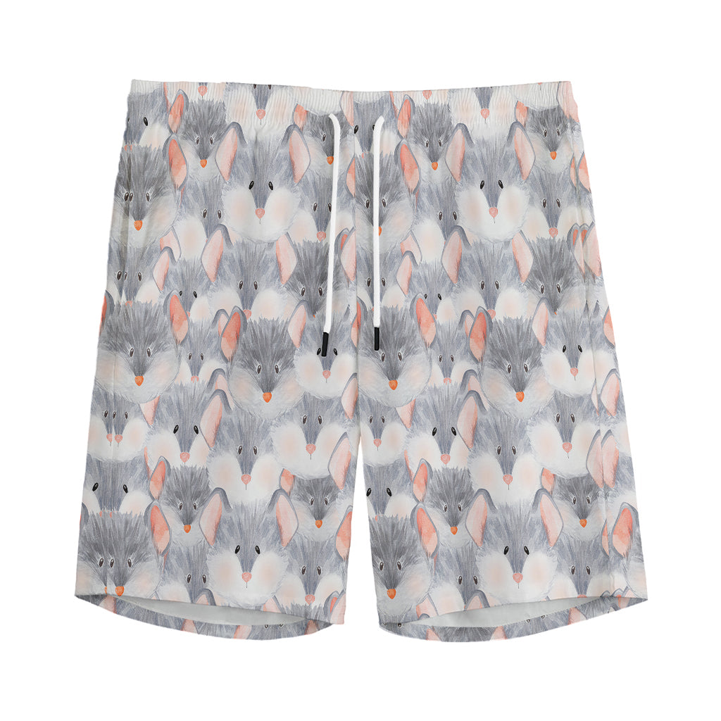 Watercolor Rat Pattern Print Men's Sports Shorts