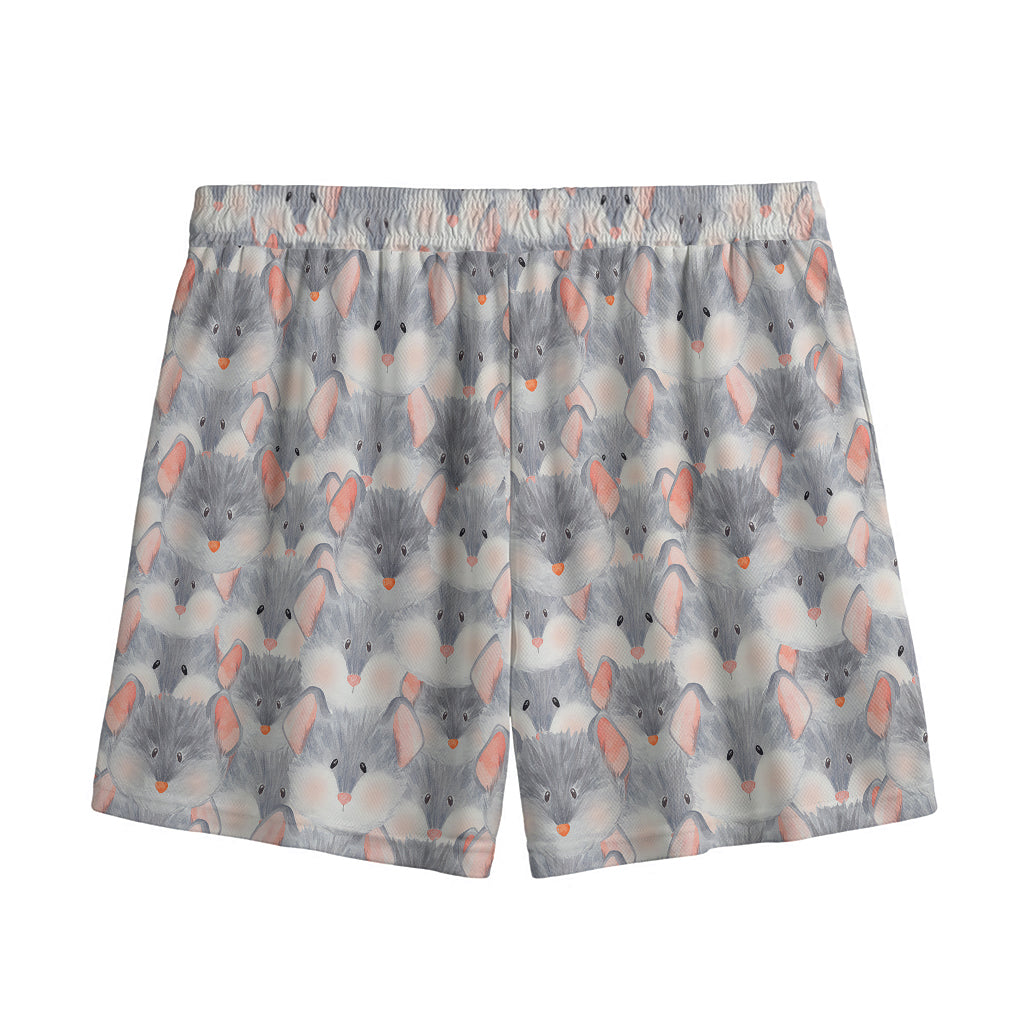 Watercolor Rat Pattern Print Mesh Shorts