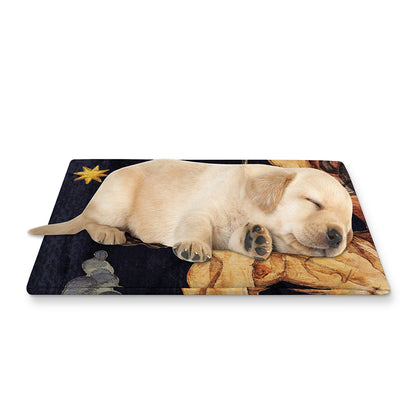 Watercolor Sagittarius Zodiac Sign Print Pet Cooling Mat Cover