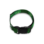 Watercolor Saint Patrick's Day Print Dog Collar