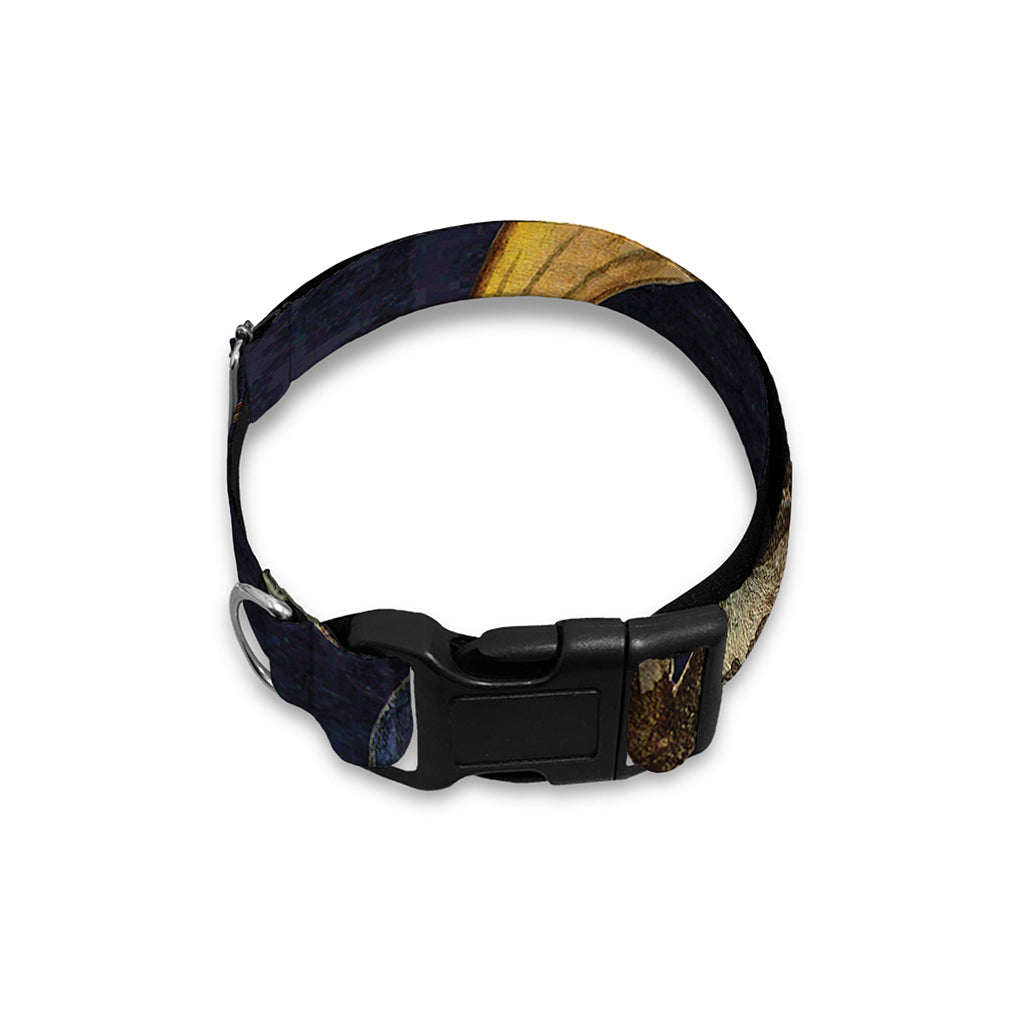 Watercolor Scorpio Zodiac Sign Print Dog Collar