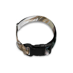 Watercolor Sloth Print Dog Collar