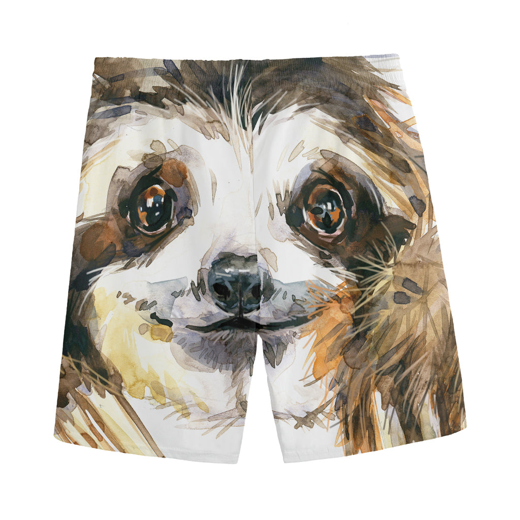 Watercolor Sloth Print Men's Sports Shorts